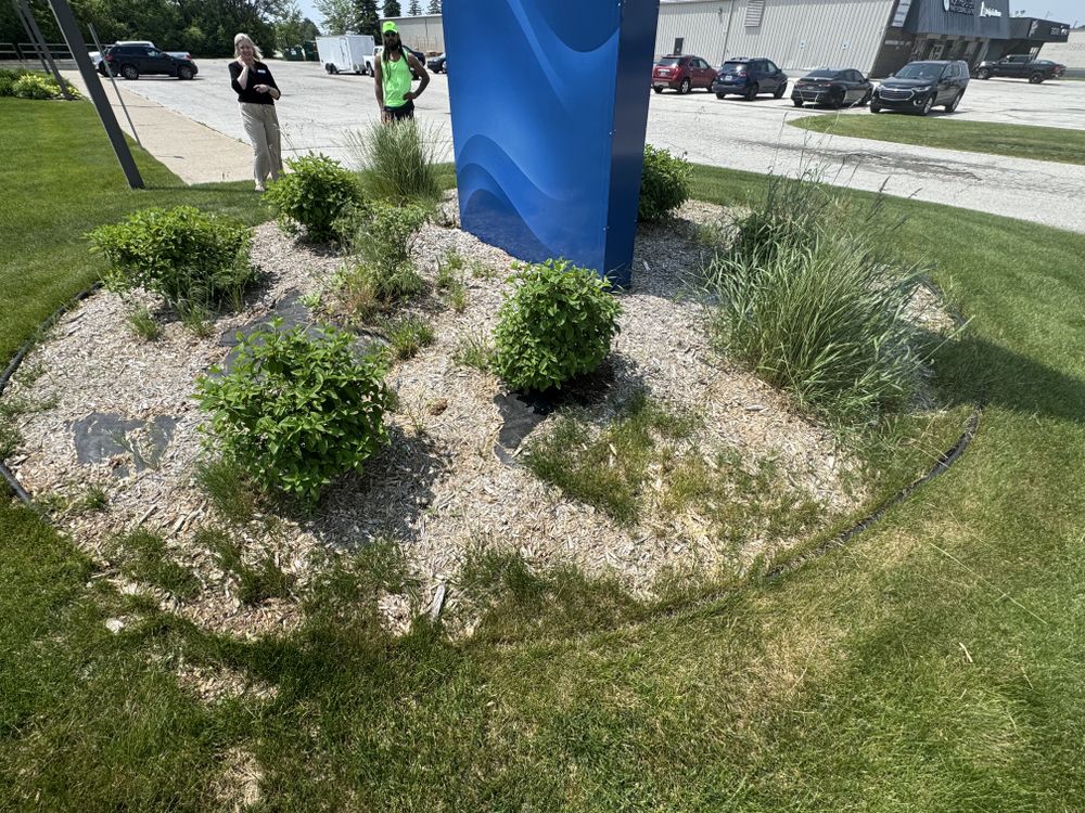 Landscaping Lawn Care for Daugherty's Tough Lawn Care in Essexville, MI