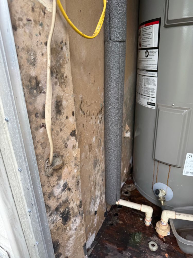 All Photos for Titan Remediation Industries in West Palm Beach, FL