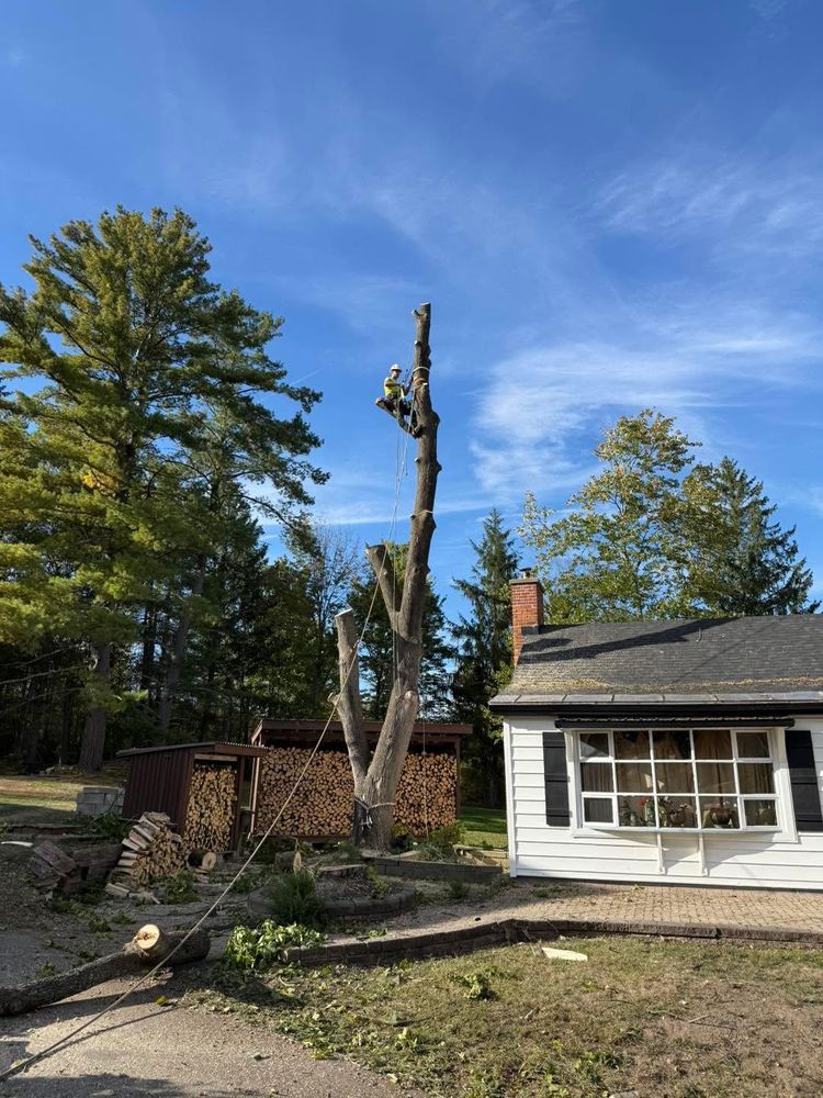 All Photos for Sterlings Tree Removal in Cobleskill, New York