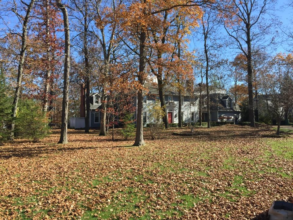 Our Fall and Spring Clean Up service is a great way to get your yard cleaned up and ready for the warmer months or winter. We will clean up all of the leaves, branches, and other debris from your yard. for Curb Impressions in Toledo,  OH