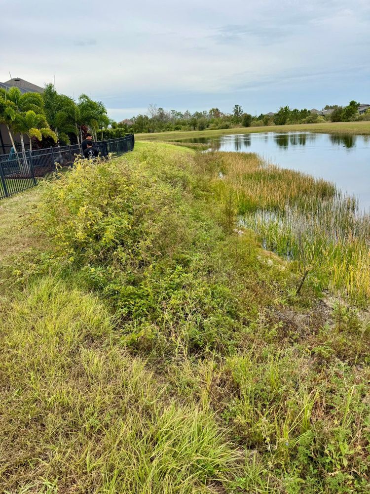 All Photos for Shoreside Property Services in Apollo Beach, FL