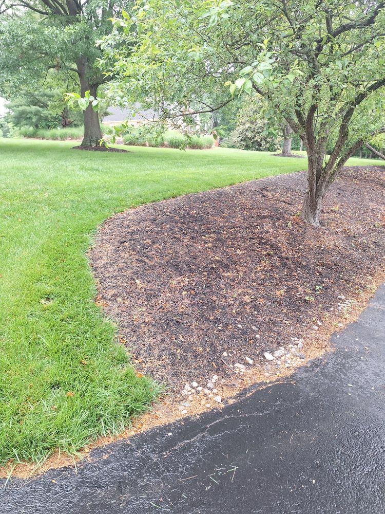 All Photos for Cincinnati’s Finest Landscape Services LLC in Cincinnati, OH