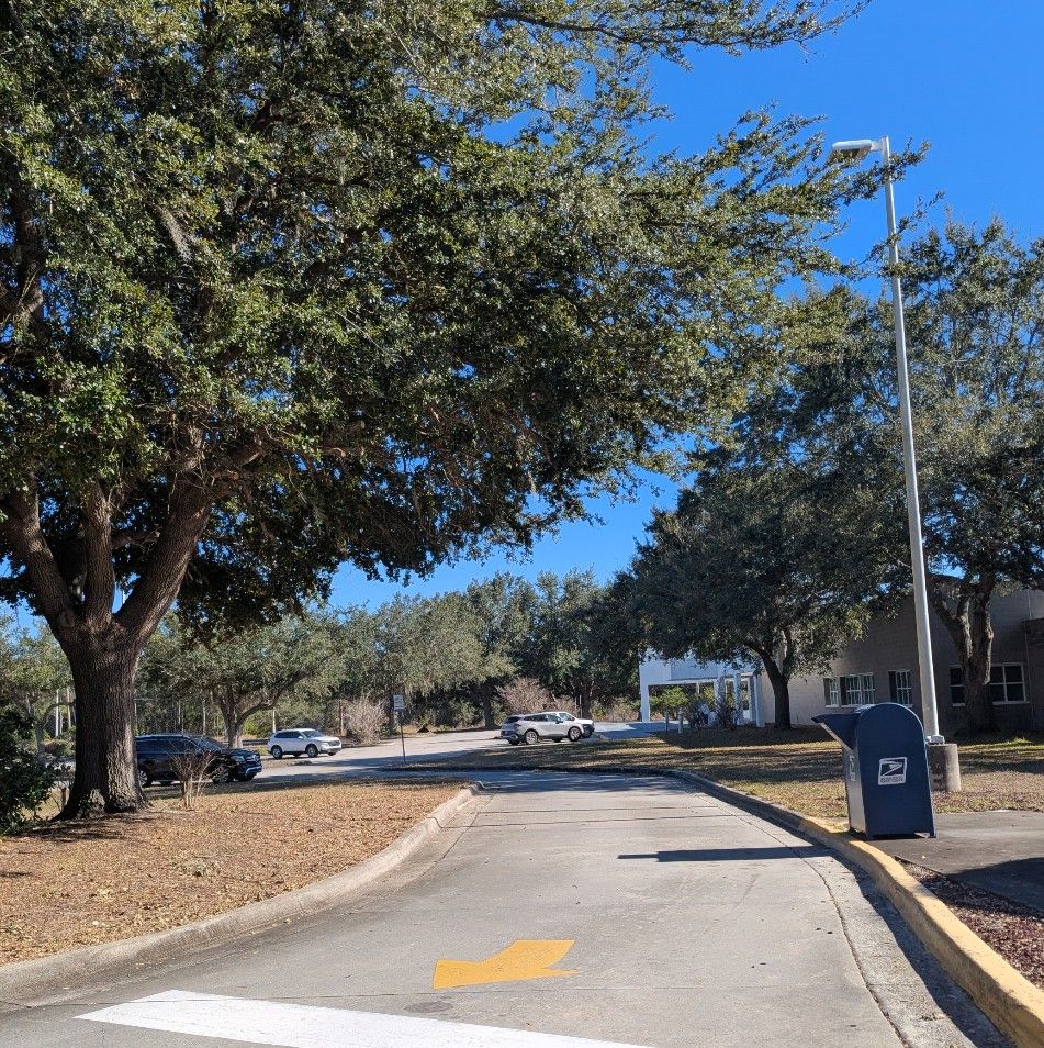 All Photos for Regal Tree Service and Stump Grinding in Wauchula, FL
