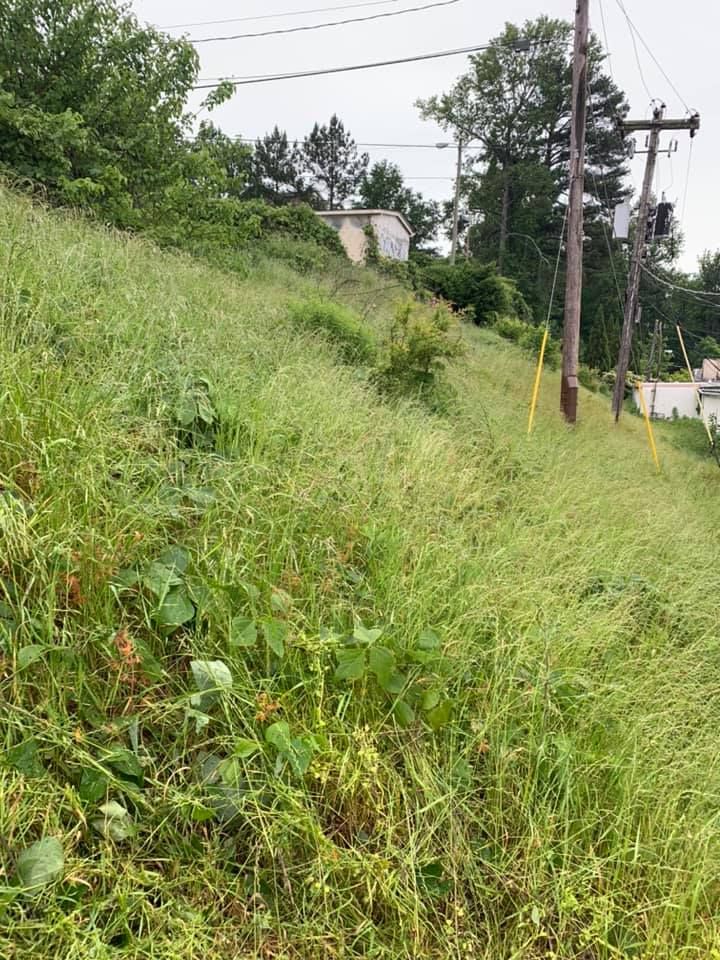 Our Mosquito Control service offers safe, effective solutions to protect your outdoor spaces from mosquitoes, ensuring a comfortable and enjoyable environment for you and your family all season long. for Bega Landscape Services in Atlanta, Georgia