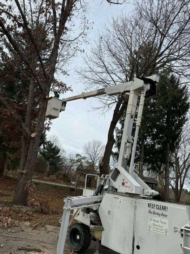 All Photos for D Hale Tree Service in Ann Arbor, MI