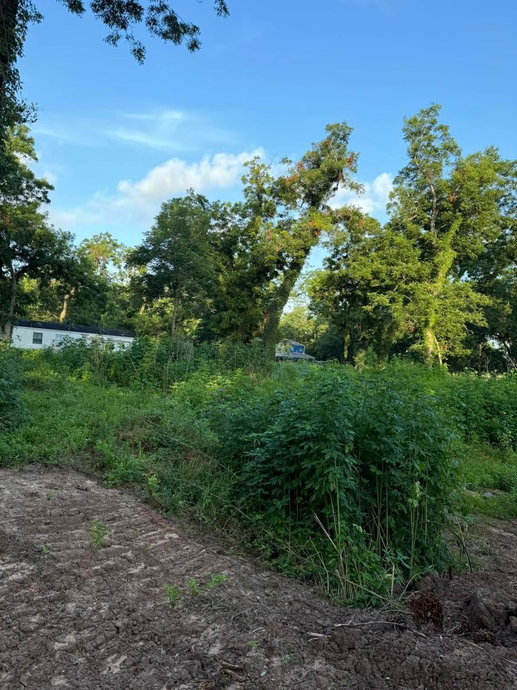 Our Soil Remediation service effectively removes contaminants from your land, ensuring a safe and healthy environment for your home foundation while enhancing soil quality for better structural support. for Divine Construction Services in Brazoria County, TX
