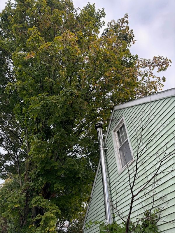 All Photos for T's Trees in Albany, NY