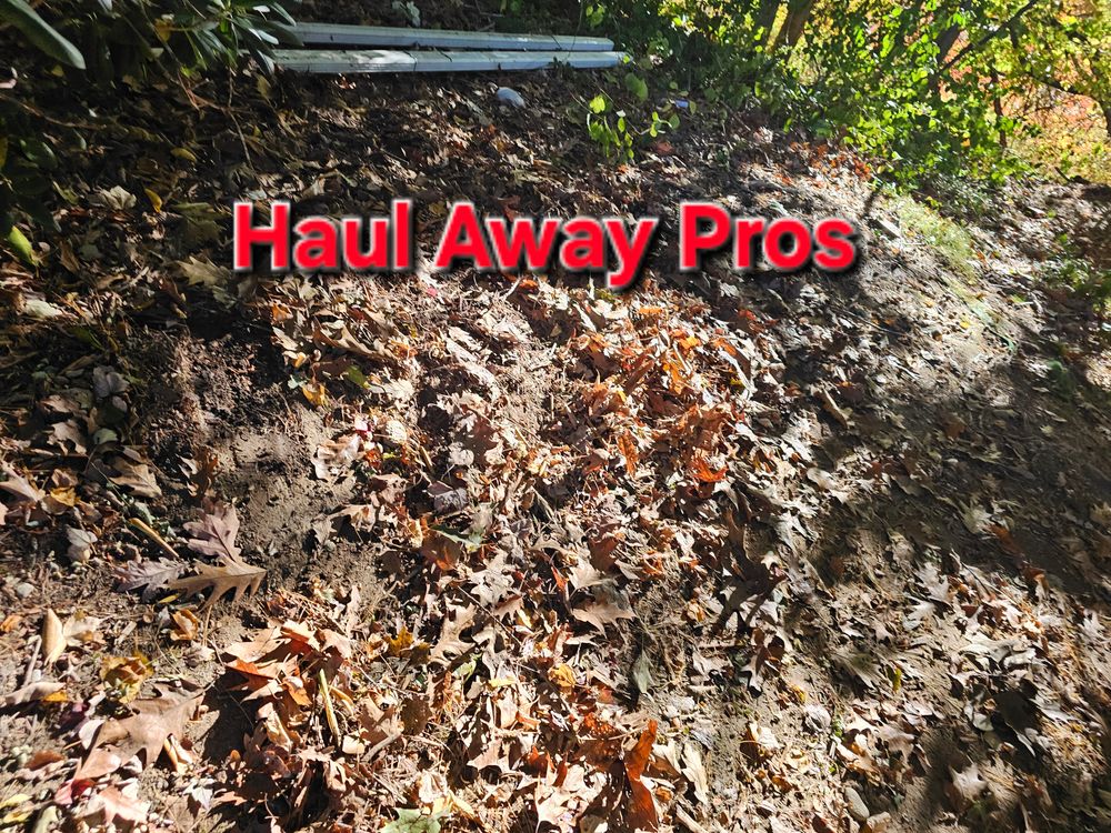 All Photos for Haul Away Pros in Tewksbury, MA