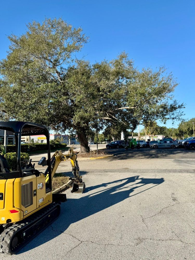 All Photos for Shoreside Property Services in Apollo Beach, FL