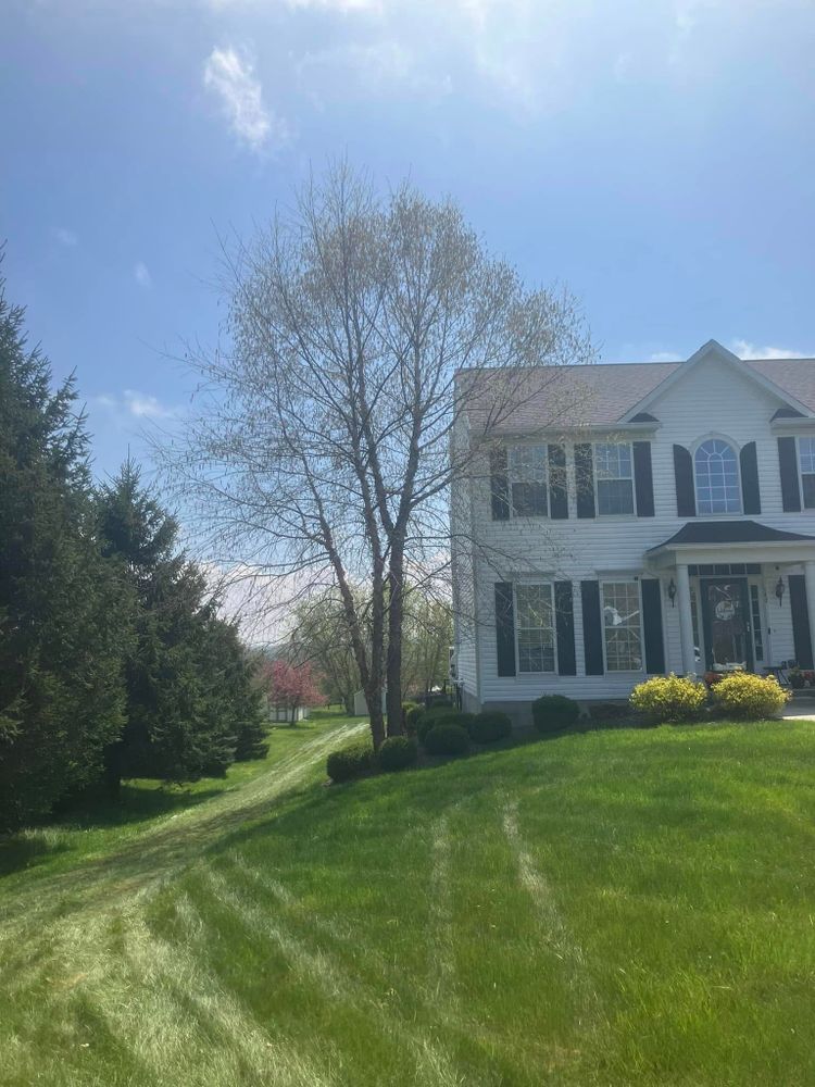 Our shrub trimming service shapes overgrown shrubs, improves curb appeal, encourages healthy growth, and maintains a neat landscape with precise, professional care tailored to your property’s style and needs. for Lovenguth Logging and Tree Service in West Monroe, NY