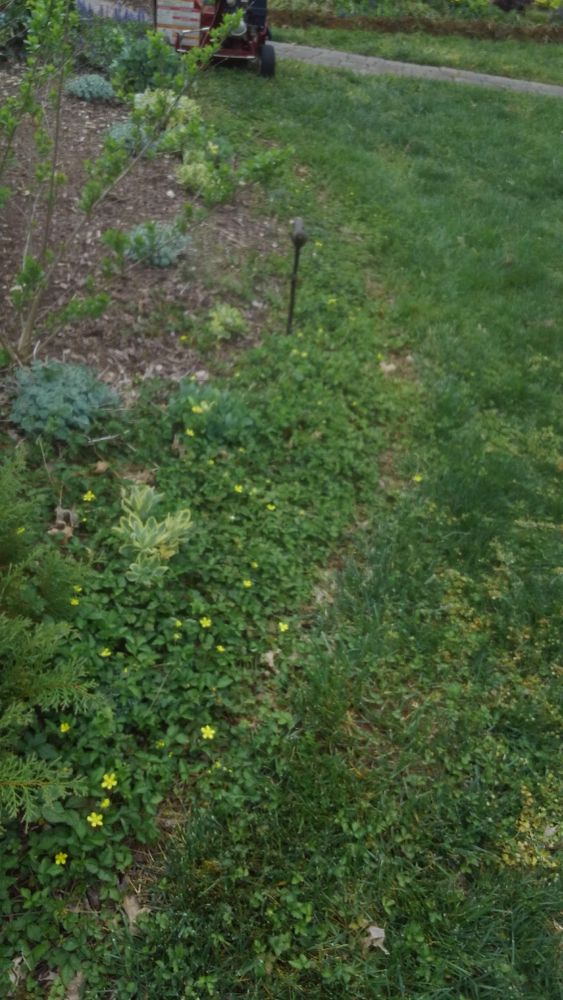 All Photos for Rocky's Pressure Washing & Lawn Care in Mooresville, NC