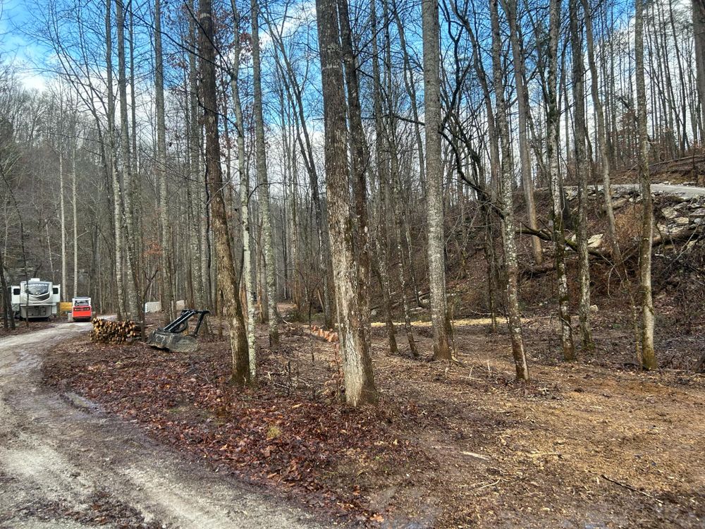 All Photos for Z's Land Management & Forestry Mulching in Smithville, TN