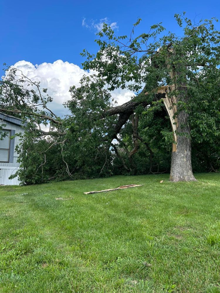 All Photos for NRV Tree Pro, LLC in Narrows, VA