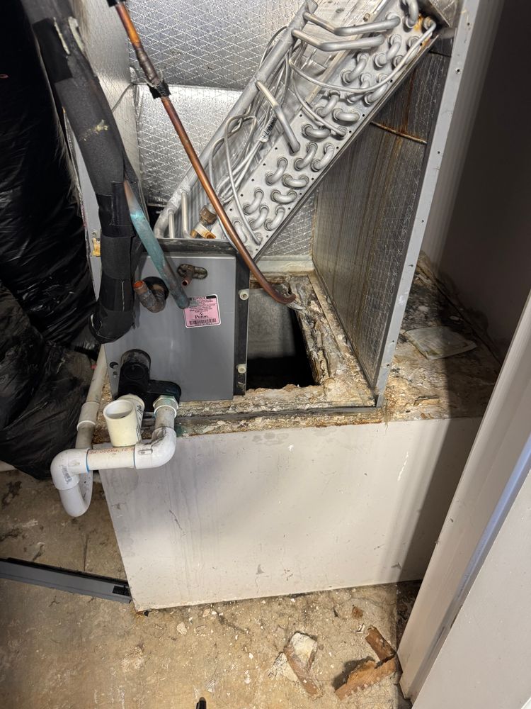 All Photos for College Grove Service Company in College Grove, TN