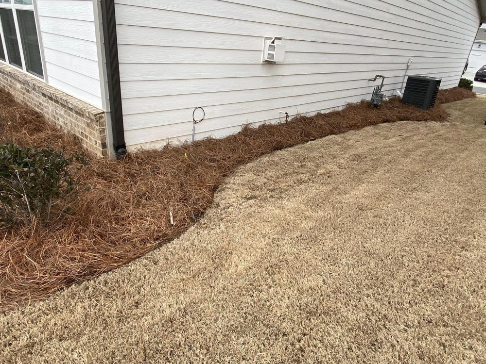 All Photos for Deeply Rooted Lawns – Hydroseeding & Sod Installation Services in Winder, GA