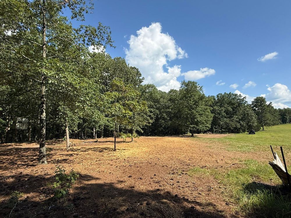 All Photos for Mud Creek Vegetation Management in Russellville, AL