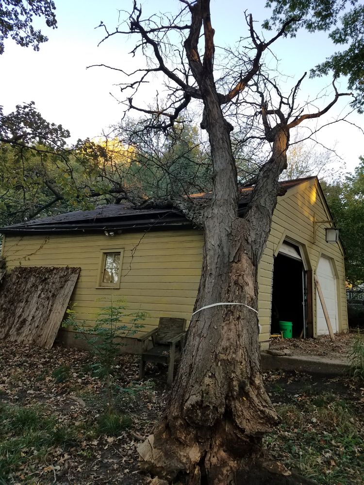 All Photos for O&O Tree Service in Rockford, IL