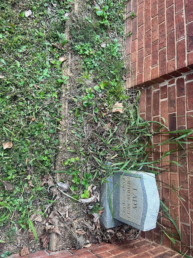 All Photos for Williams Brothers Landscaping & Construction in Atlanta, GA