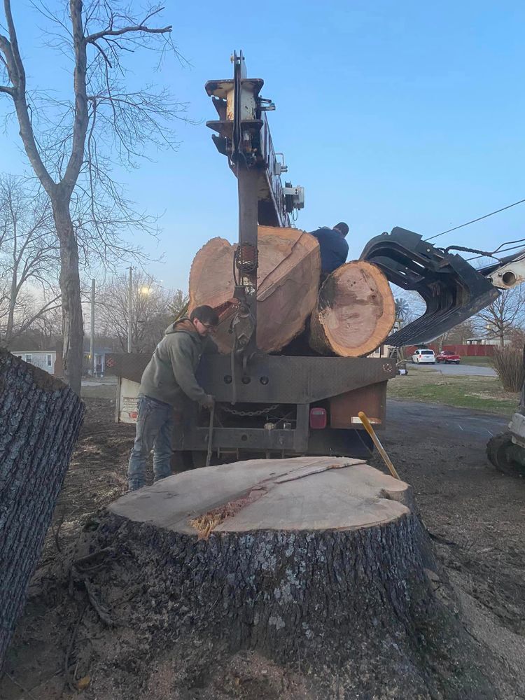 Tree Removal for Lance Tree Service in Tellico Plains ,  TN