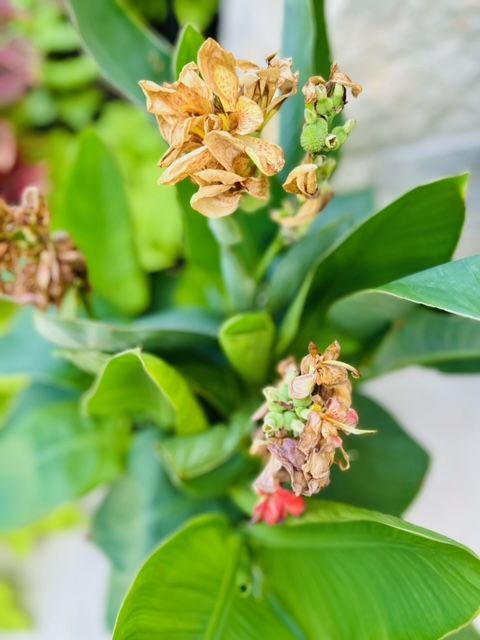 All Photos for Rustic Roots Landscaping in Austin, TX