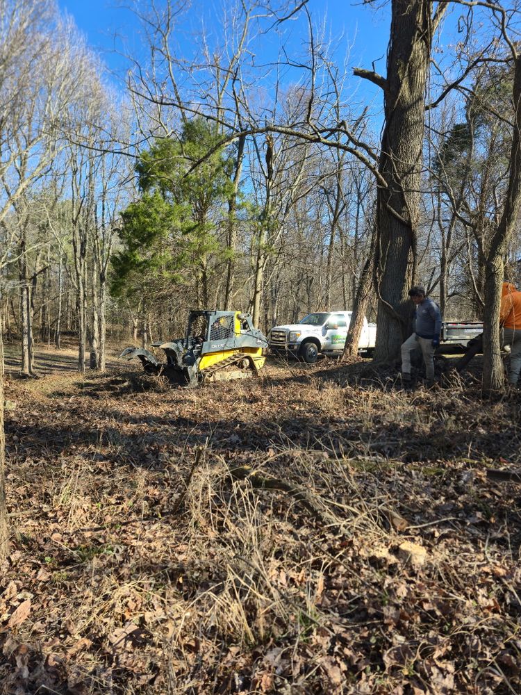 All Photos for Optimum Tree Service And Landscaping in Bowling Green, KY