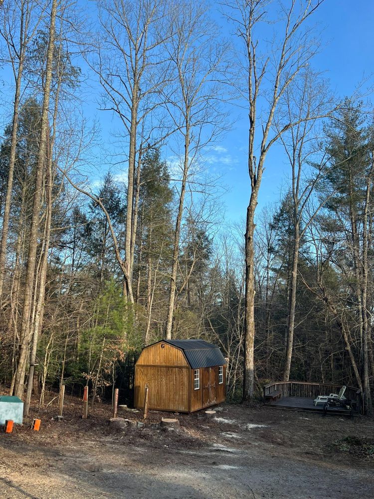 All Photos for Brooks Tree Service in Casar, NC