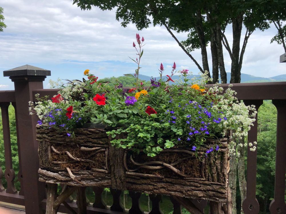 Container Gardening for Sustainable Lawn and Landscape in Banner Elk, NC