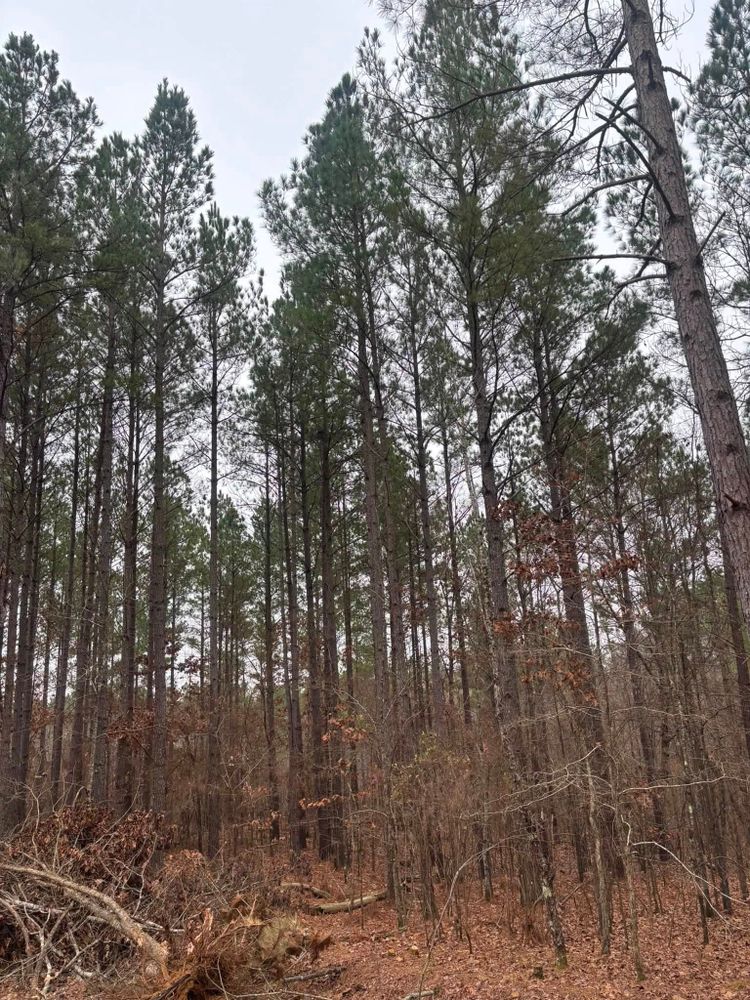 All Photos for Ross Excavation & Land Development in Middleton, TN