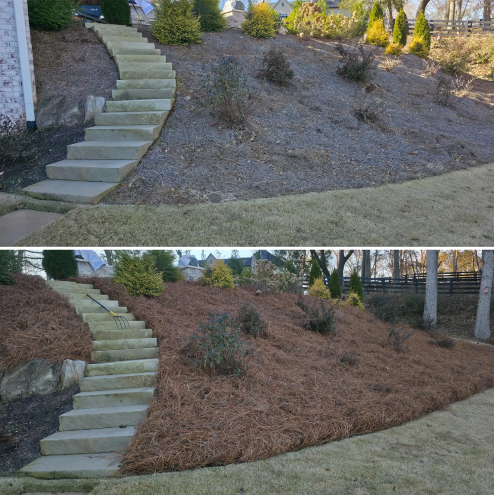 All Photos for GA Bear Dumpster Rental in Cumming, GA