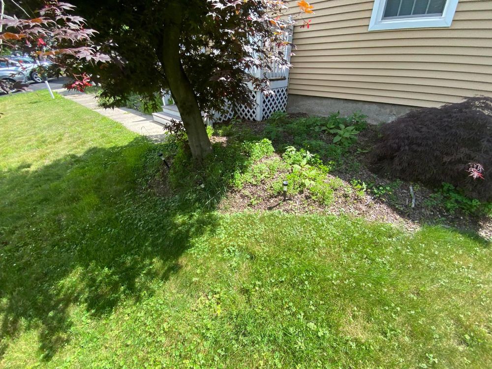 All Photos for Ace Landscaping in Trumbull, CT