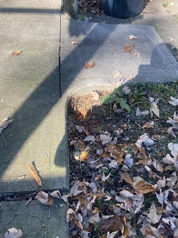 All Photos for Castle Fence & Deck LLC in Euclid, OH