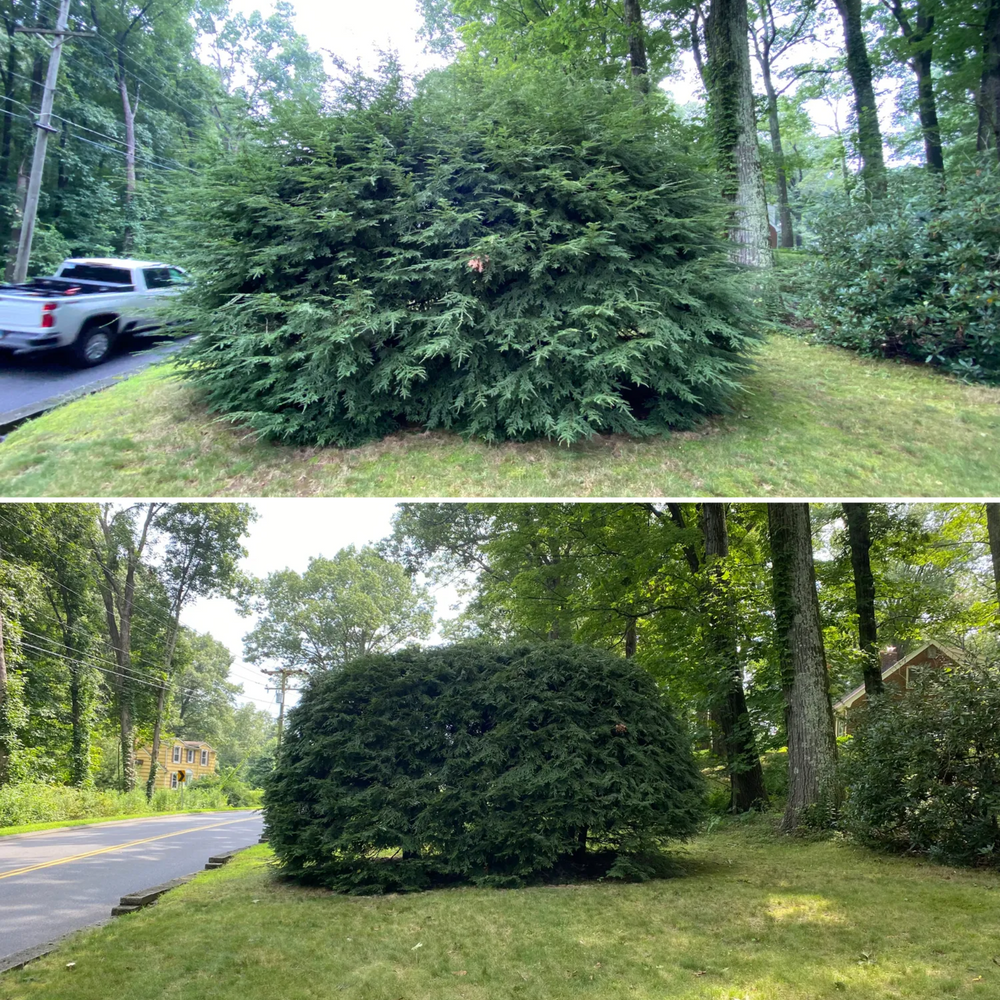 All Photos for Stevenson Property Maintenance in Cheshire, CT