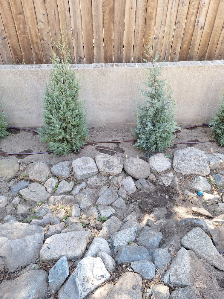 All Photos for Best Lawncare in Colton, CA