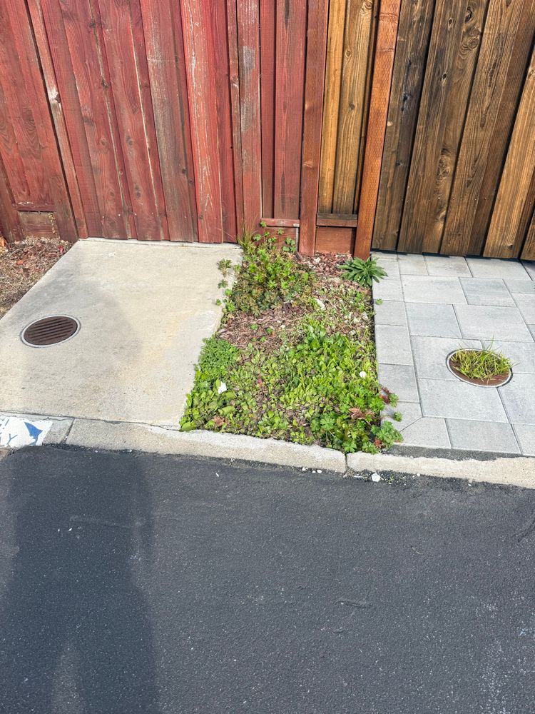 All Photos for CBA Landscaping in Hayward, CA
