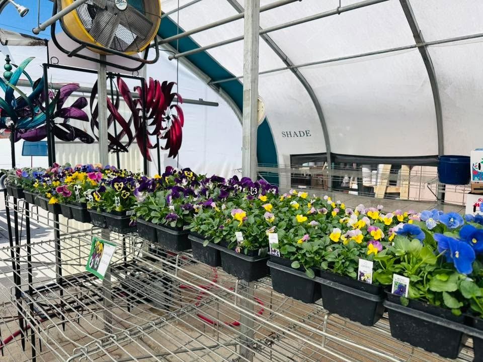 All Photos for Mayfield Landscaping in Staunton, IL