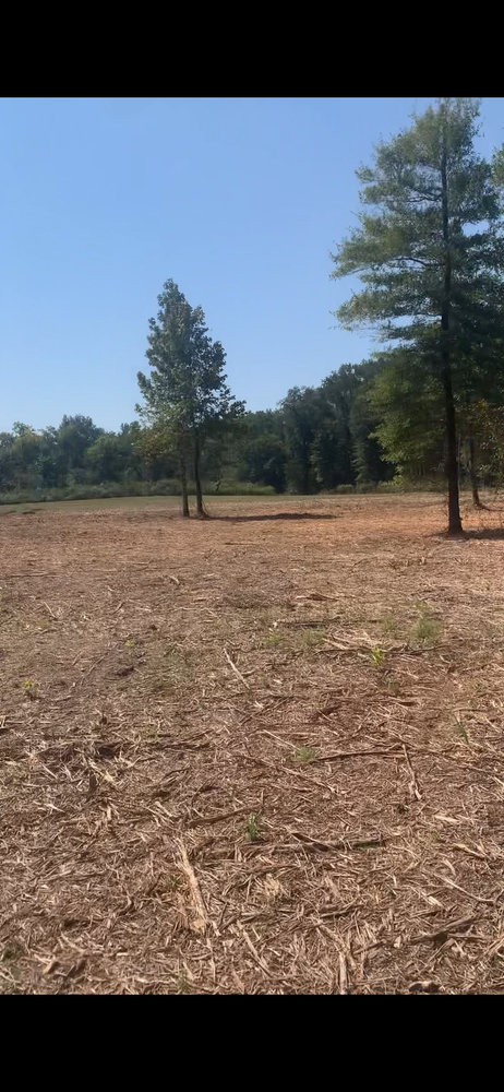 All Photos for Polasini Land Development in Starkville, MS