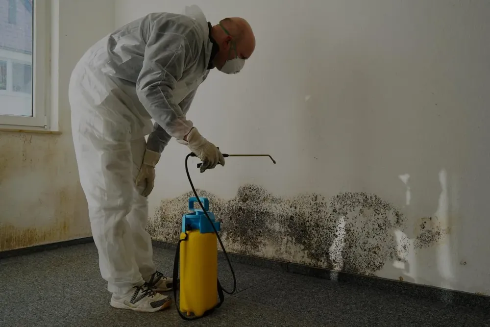 Our mold restoration service efficiently removes harmful mold from your home, ensuring a safe and healthy environment while preventing future growth. Trust our expert team to restore your peace of mind today. for Rapid Renovations & Construction in Atlanta, GA