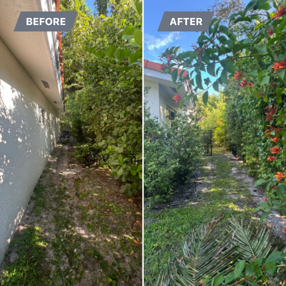 All Photos for South Florida Terra Systems in Boca Raton, FL