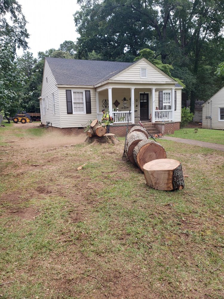 Tree Removal for ArborMax in Thomaston, GA