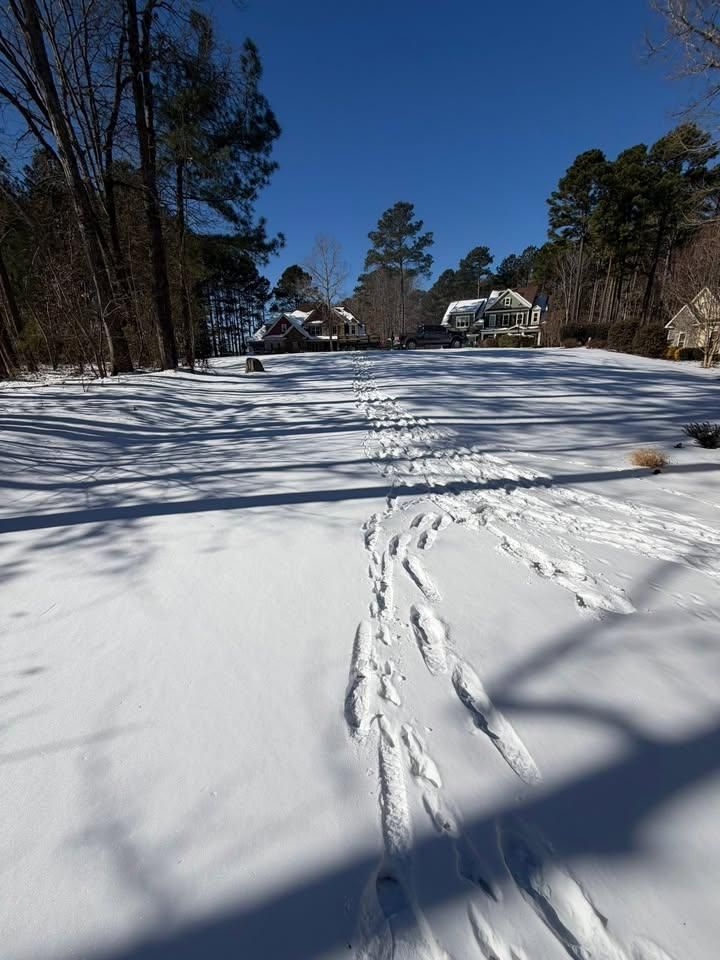 All Photos for Done2Day LLC in Wake Forest, NC