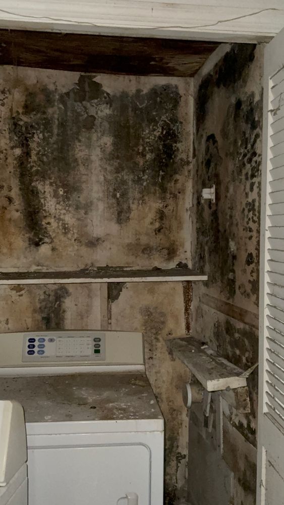 All Photos for N&D Restoration Services: When Disaster Strikes, We Come In in Cape Coral,  FL