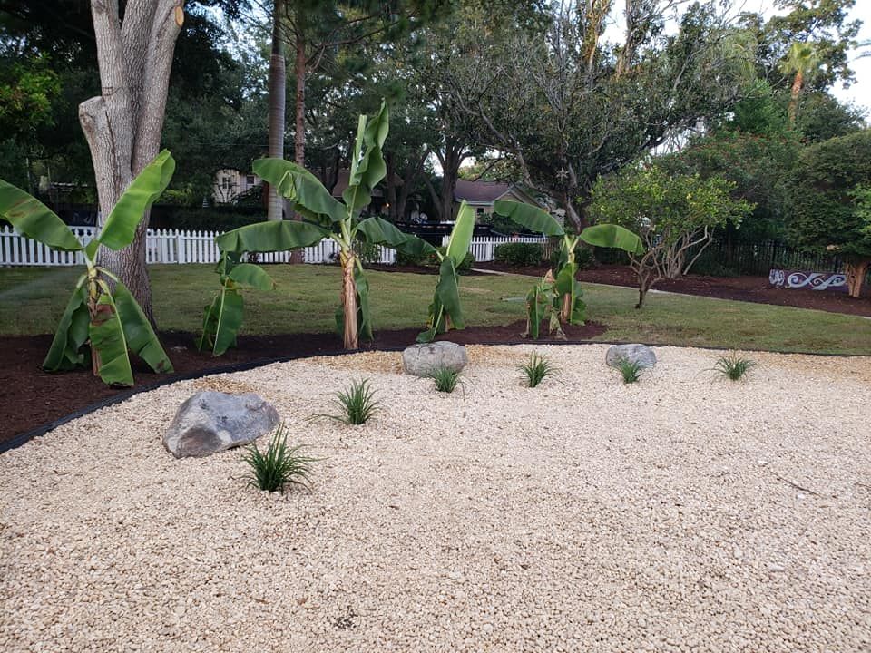 Landscape Design for Golden Landscape & Tree Care in St. Petersburg, Fl