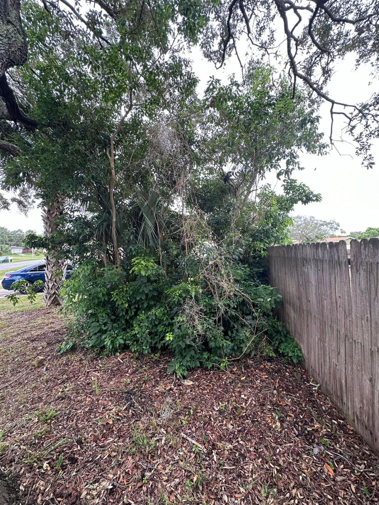 All Photos for Kramer & Son’s Property Maintenance in Hudson, FL