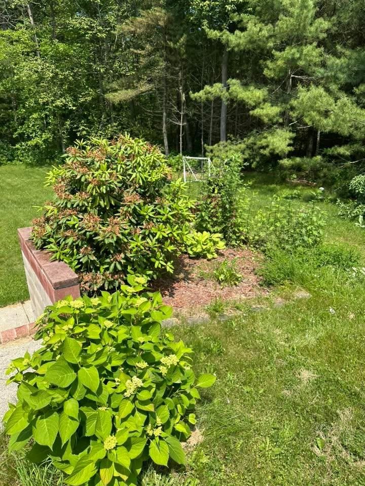 All Photos for Silver City Tree and Landscape in Taunton, MA