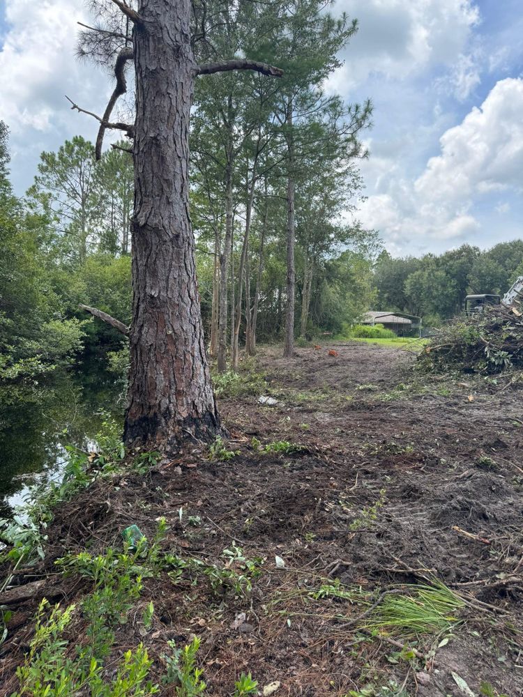 All Photos for DLC Land Clearing in Glen Saint Mary, FL