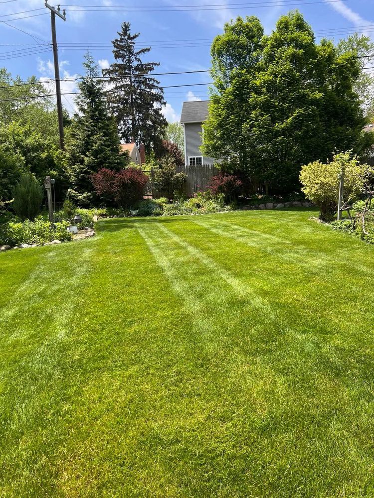 All Photos for Steed's Lawn and Landscape LLC in White Lake, MI