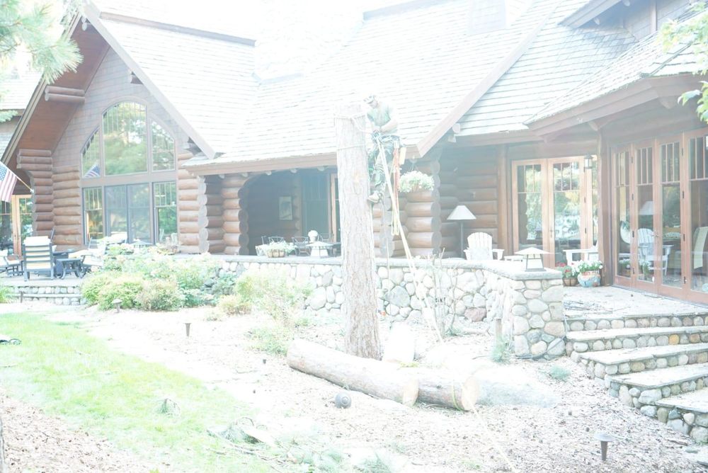 All Photos for Dan's Tree Service LLC in Bemidji, MN