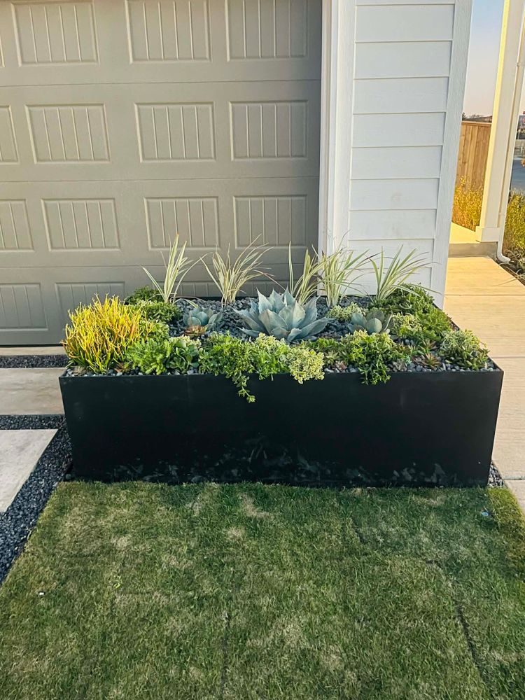 All Photos for Chavira Landscape & Irrigation in Austin, TX