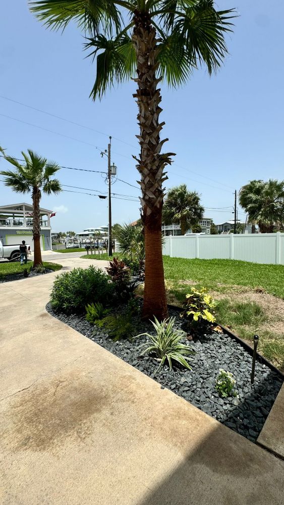 All Photos for CRM Palm & Landscaping in Rockport, TX