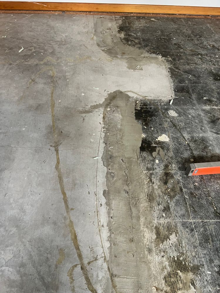 All Photos for Dib 896 Flooring in Dearborn Heights, MI